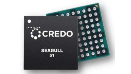 credo-seagull51-528x300